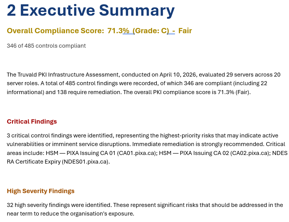 Executive Summary Report